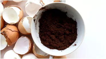 De ce se foloseste coaja de ou la cafea E un secret bine pastrat de barista