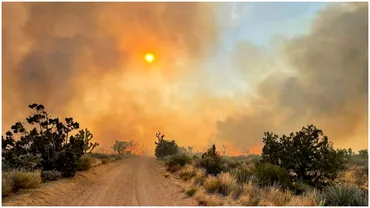 Imagini apocaliptice din California Un puternic incendiu de vegetatie a scapat de sub control