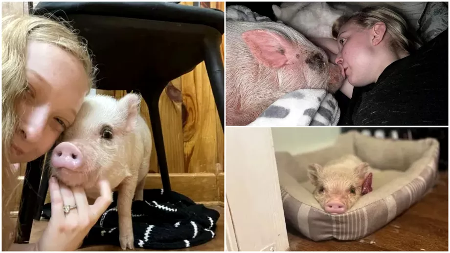 O tanara a ales un porc pe post de animal de companie si doarme cu el in pat Lumea crede ca sunt nebuna