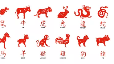 Zodiac chinezesc pentru duminica 13 noiembrie 2022 Dragonul incheie un episod dureros din viata lui