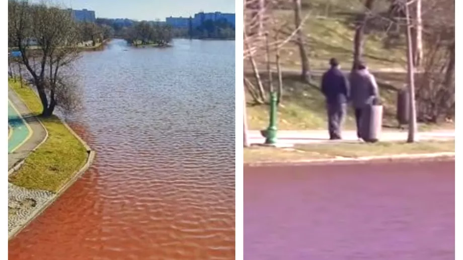 Din ce cauza este rosie apa lacului din Parcul IOR Explicatiile autoritatilor