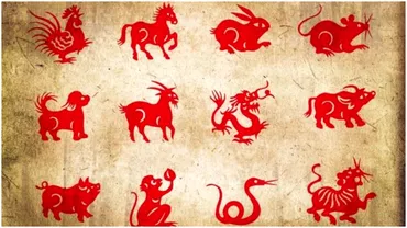 Zodiac chinezesc pentru vineri 24 noiembrie 2023 Dragonul isi testeaza limitele