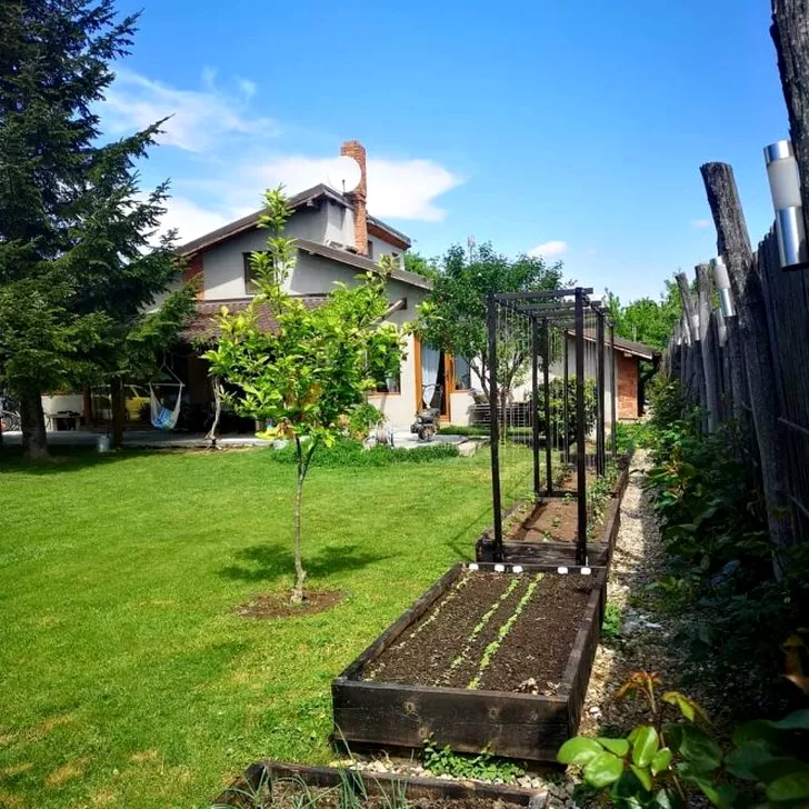 Casa și grădina lui Dan Bordeianu, din Brănești