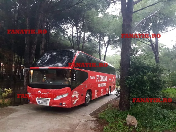 autocar Dinamo Papillon Belvil