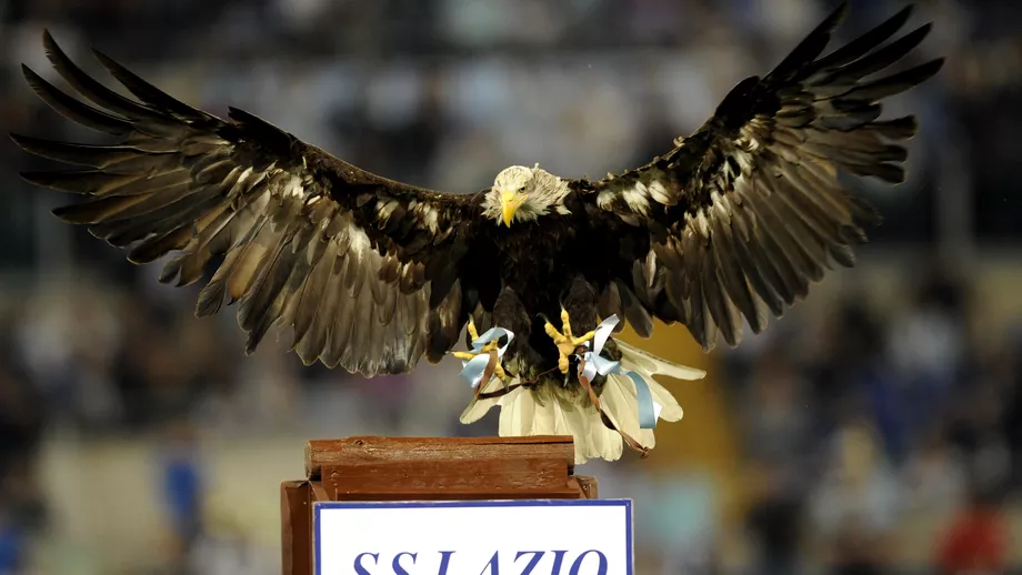 Povestea incredibila a Olimpiei vulturul mascota al adversarei FCSB