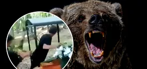 Un urs a pus pe fuga un cortegiu funerar in Mures Speriati de animal oamenii au inceput sa urle Video