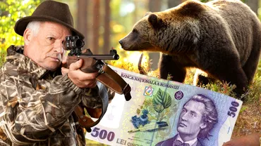 Romania singura tara din UE unde este platita uciderea ursilor Cat costa viata unui animal