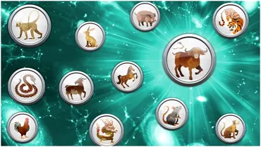 Zodiac chinezesc pentru marti 20 iunie 2023 Maimuta investeste in propria persoana