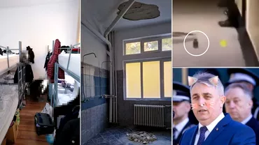 Video Academia de Politie focar de infectie Sobolani pe holuri si conditii insalubre pentru studenti