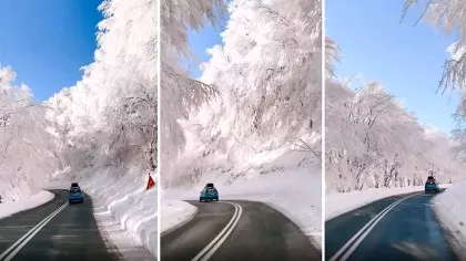 Imaginile filmate în Grecia devenite virale. Ce au văzut oamenii pe o șosea...