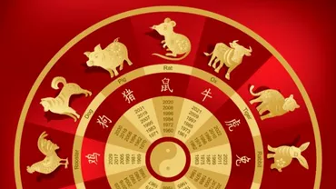 Zodiac chinezesc pentru vineri 30 iulie 2021 Cocosul are tendinta sa detina controlul