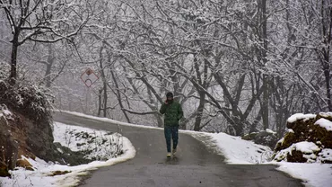 Ucrainenii fugiti in Romania prin munti preferau sa moara de frig decat sasi dezvaluie locatia