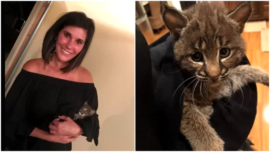 O femeie a luat un pui de pisica in casa dar animalul era de fapt altceva Ce soc a trait