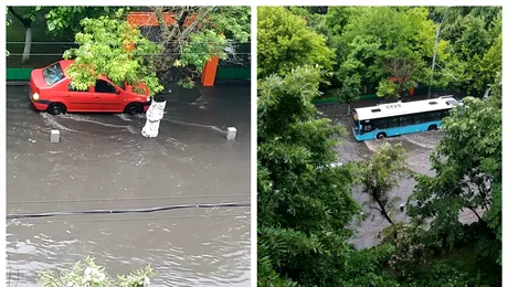 Vremea produce pagube in Capitala Copaci cazuti peste masini si linii STB deviate din cauza acumularilor de apa