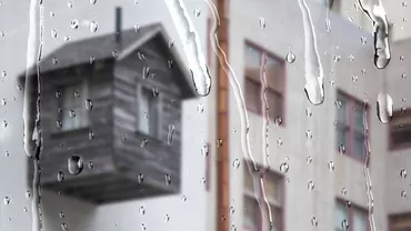 Cum sa scapi de umiditatea din casa Trucul vechi de pe vremea bunicii care iti salveaza locuinta