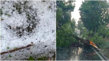 O furtuna puternica a afectat Timisoara Grindina copaci doborati si o casa lovita de trasnet Video