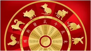 Zodiac chinezesc pentru sambata 26 august 2023 Tigru lasate ghidat de intuitie