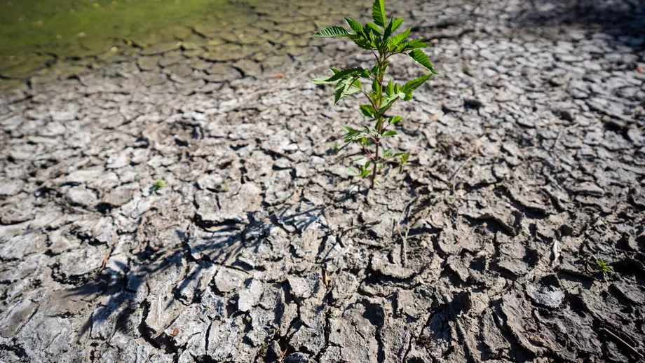 Se intampla in Romania Apa se rationalizeaza din cauza secetei Efecte devastatoare ale caniculei