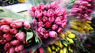 Cat costa un buchet de flori pentru 1 si 8 martie Preturile au explodat fata de anul trecut