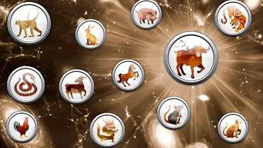 Zodiac chinezesc pentru sambata 11 februarie 2023 Bivolul are parte de critici iar Iepurele cade pe ganduri