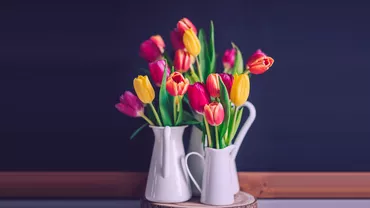 Trucul care te ajuta sa ai lalele proaspete mai mult timp Ce sa pui in vaza e secretul florariilor