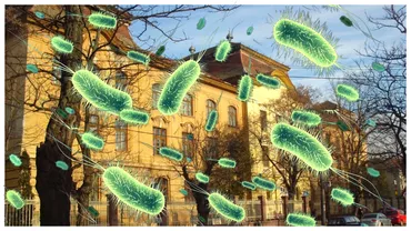 Focarul de Norovirus de la liceul din Timisoara a fost inchis Sursa ramane in continuare o enigma