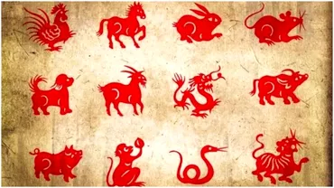 Zodiac chinezesc pentru vineri 11 noiembrie 2022 Probleme in relatie pentru Sarpe