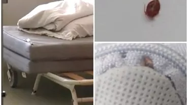 Scandal la Spitalul Judetean Valcea Copiii internati nevoiti sa doarma pe saltele pline de gandaci