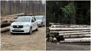 Accident de munca mortal in Vaslui barbat de 47 de ani strivit de un copac