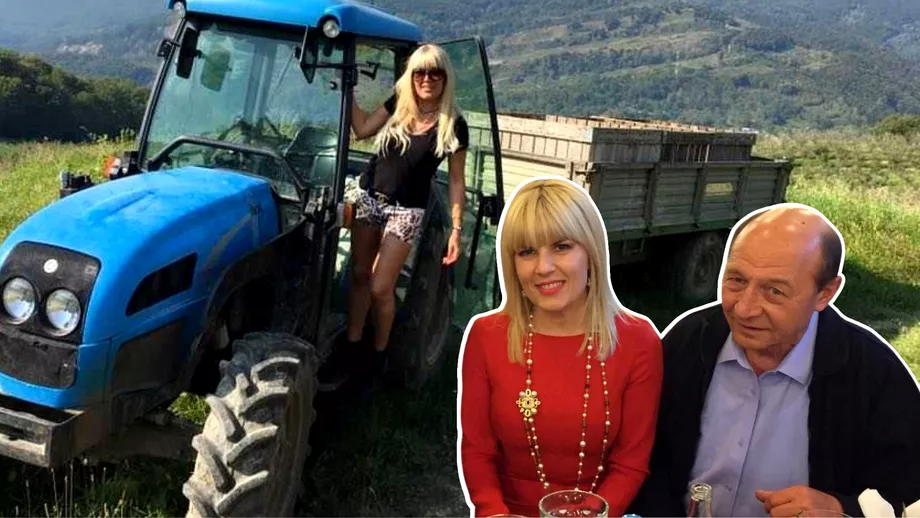 Ce se intampla cu firma Elenei Udrea care a administrat terenurile agricole cumparate de Traian Basescu prin intermediul fiicei sale
