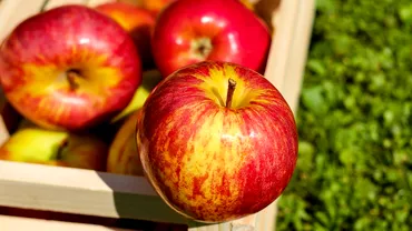 Ce poti face cu cojile de mere Trucuri utile si ieftine pentru bucatarie