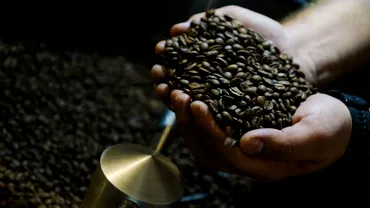 Cafeaua decofeinizata contine o substanta cancerigena Poate provoca si alte efecte nocive