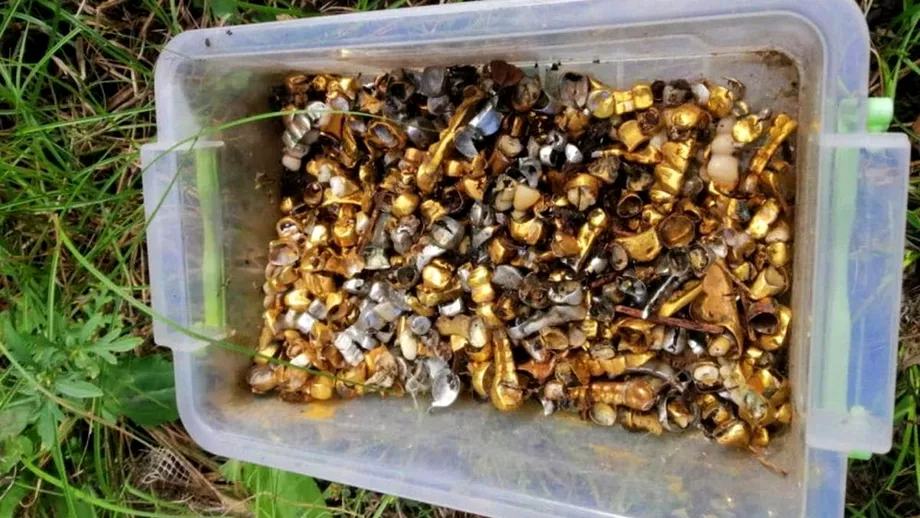 Cutie cu dinti de aur smulsi de rusi de la prizonieri descoperita in Ucraina Vecinii auzeau in continuu urlete