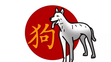 Zodiac chinezesc pentru luni 10 octombrie 2022 Noroc in dragoste pentru Caine