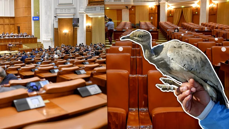 Topul chiulangiilor din Parlament Deputatii prea delasatori sasi justifice absentele si senatorul dropiilor