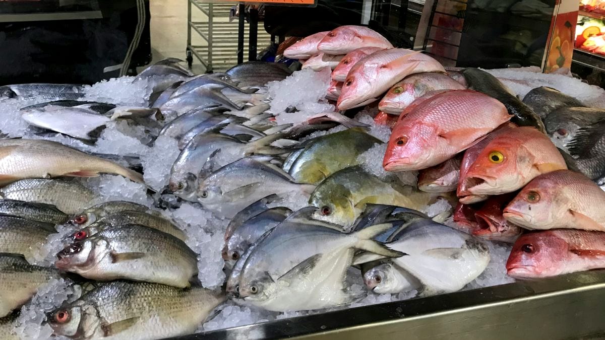 Sfaturi de la ANPC pentru cei ce cumpără pește. La ce trebuie să fie atenți românii când merg la magazin