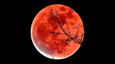 Eclipsa de Luna din 8 noiembrie 2022 da peste cap vietile a doua zodii Ce li se intampla