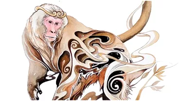 Horoscop chinezesc pentru joi 4 august 2022 Afacerile Maimutei merg prost