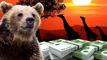 Kenya, 2,5 milioane de euro pentru un recensământ total al animalelor. România, 11 milioane ca să numere urșii