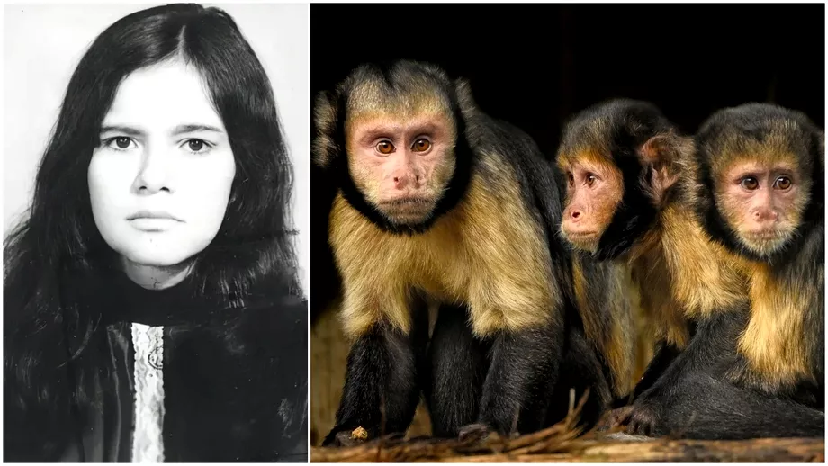 Ea este fetita crescuta de maimute Povestea impresionanta a unui copil care a stat 5 ani intro padure alaturi de animalele salbatice