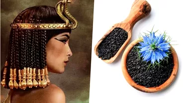 Planta care face minuni in ritualurile de infrumusetare Era folosita de Cleopatra atat pe fata cat si pe par