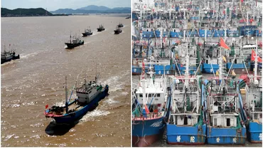China pradatorul mondial al marilor UE vrea sa termine cu pescuitul ilegal al Beijingului