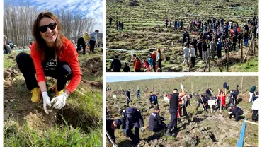 Municipiul din Romania in care sa plantat o padure de la zero Circa 15000 de arbori au fost bagati in pamant