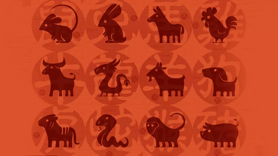 Zodiac chinezesc pentru sambata 26 noiembrie 2022 Cocosii vor descoperi cheia succesului