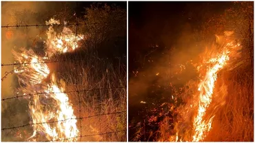 Incendiu de proportii in Prahova Ard peste 50 de hectare de teren Pompierii intervin