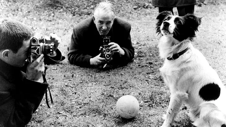 Cupa Mondilă, furată la Londra în 1966, a fost găsită de un căţel rasa Collie în vârstă de 3 ani, pe nume Pickles