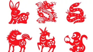 Zodiac chinezesc pentru joi 30 septembrie 2021 Iepure mergi pe drum drept
