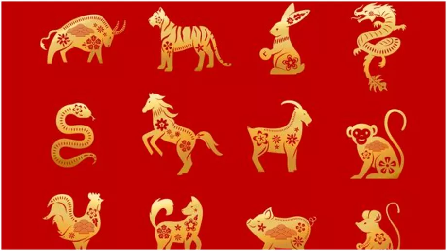 Zodiac chinezesc pentru saptamana 19  25 decembrie 2022 Seductie pentru Sobolan Libertate pentru Iepure