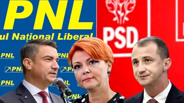 Coalitia PNLPSD nefunctionala in judete Liberalii si socialdemocratii isi ascut sabiile pentru alegerile locale