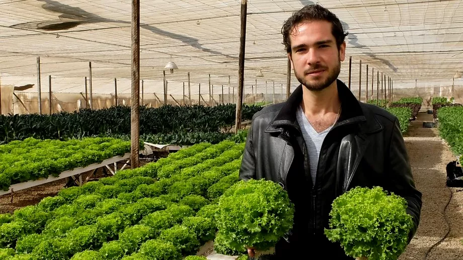 Cum a revolutionat Egiptul sectorul agricol si cultiva salata in mijlocul desertului Dependentii de graul romanesc gata sa cucereasca lumea Foto